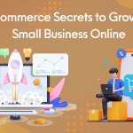 5 E-commerce Secrets to Grow Your Small Business Online